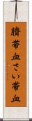 臍帯血 Scroll