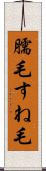 臑毛 Scroll