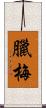 臘梅 Scroll