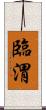 臨渭 Scroll