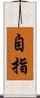 自指 Scroll