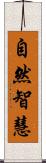 自然智慧 Scroll