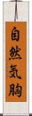自然気胸 Scroll