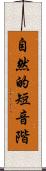 自然的短音階 Scroll