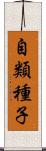 自類種子 Scroll
