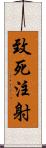 致死注射 Scroll