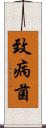 致病菌 Scroll