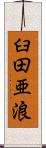 臼田亜浪 Scroll