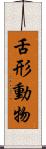 舌形動物 Scroll