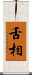 舌相 Scroll