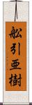 舩引亜樹 Scroll