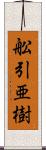 舩引亜樹 Scroll