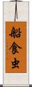 船食虫 Scroll