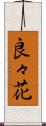 良々花 Scroll