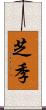 芝季 Scroll