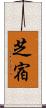 芝宿 Scroll