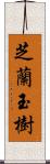 芝蘭玉樹 Scroll