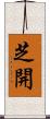 芝開 Scroll