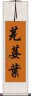 芫荽葉 Scroll