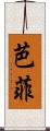 芭菲 Scroll