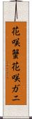 花咲蟹 Scroll