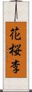 花桜李 Scroll