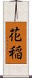 花稲 Scroll