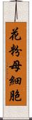 花粉母細胞 Scroll