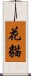 花貓 Scroll