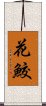 花鮫 Scroll