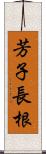 芳子長根 Scroll