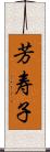 芳寿子 Scroll