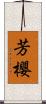 芳櫻 Scroll