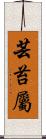 芸苔屬 Scroll