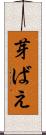 芽ばえ Scroll