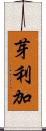 芽利加 Scroll