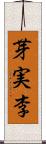 芽実李 Scroll