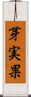 芽実果 Scroll