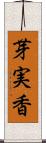 芽実香 Scroll