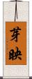 芽映 Scroll