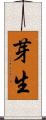 芽生 Scroll