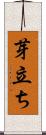 芽立ち Scroll