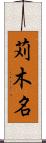 苅木名 Scroll