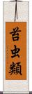 苔虫類 Scroll