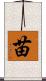 苗 Scroll