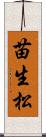 苗生松 Scroll