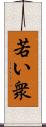 若い衆 Scroll