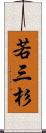 若三杉 Scroll