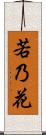 若乃花 Scroll