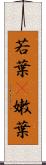 若葉(P) Scroll